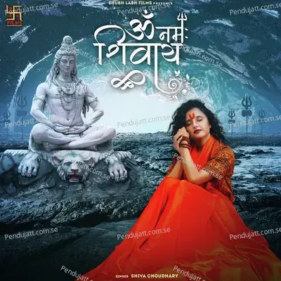 Om Namah Shivay - Shiva Choudhary album cover 