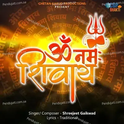 Om Namah Shivay - Shreejeet Gaikwad album cover 