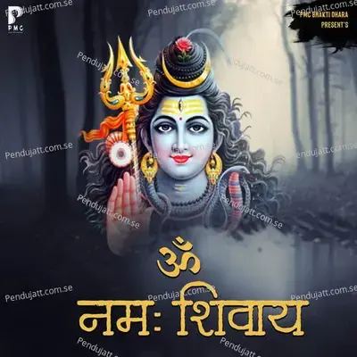 Om Namah Shivay - Komal Pareek album cover 