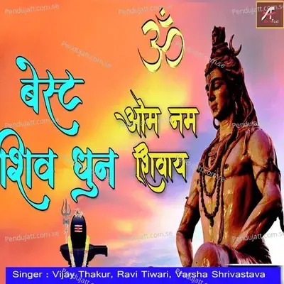 Om Namah Shivay - Vijay Thakur album cover 