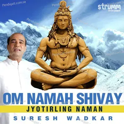 Om Namah Shivay - 