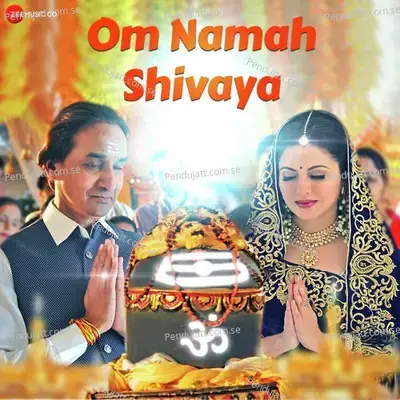 Om Namah Shivaya - Anuradha Paudwal album cover 