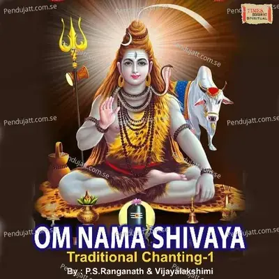 Om Namah Shivaya Chanting -1 - Parupalli Sri Ranganth