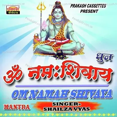 Om Namah Shivaya - Shailza Vyas album cover 