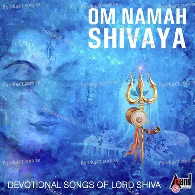 Om Namah Shivaya - Ajay Warrior album cover 