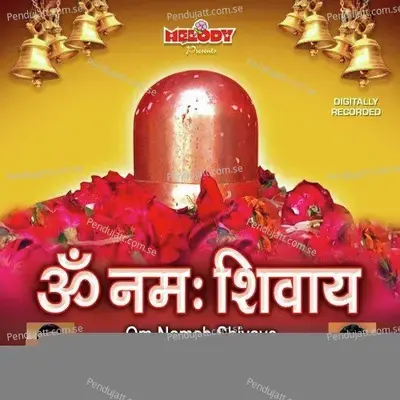 Om Nama Shivaye - Vipin Sachdeva album cover 