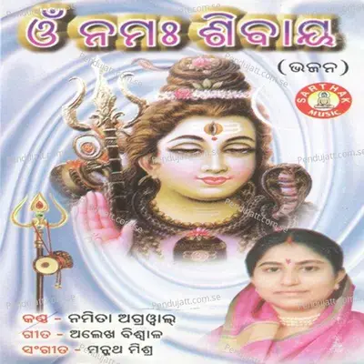 Om Namaha Shibaya - Namita Agrawal cover album