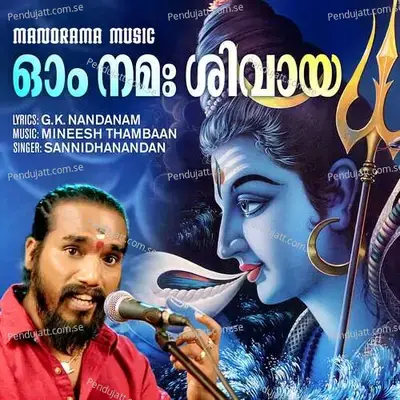 Om Namashivaya - Sannidhanandan album cover 