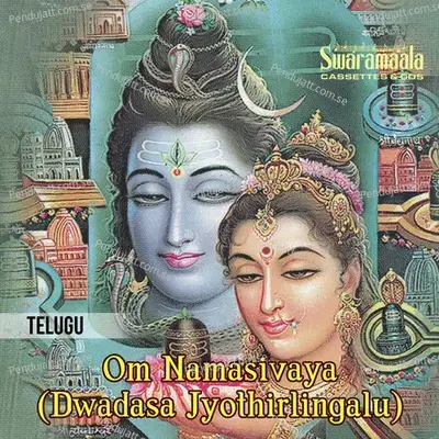 Om Namasivaya  Dwadasa Jyothirlingalu  - Usha Raj cover album