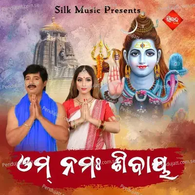 Om Namha Sivaya - Amit Tripathy album cover 