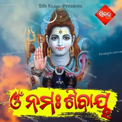 Omm Namha Sivaya Pt  2 - Sanghamitra album cover 