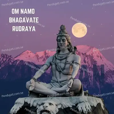 Om Namo Bhagavate Rudraya - Aashirwad Dagale album cover 