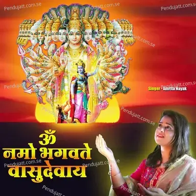 Om Namo Bhagavate Vasudevaya - Amrita Nayak album cover 