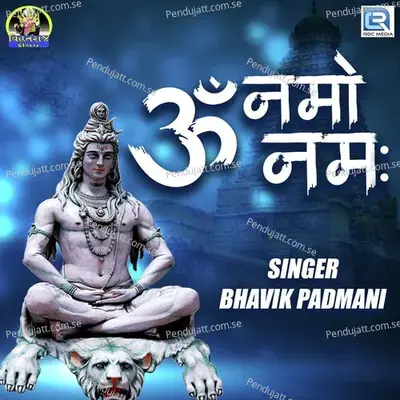 Om Namo Nam - Bhavik Padmani album cover 