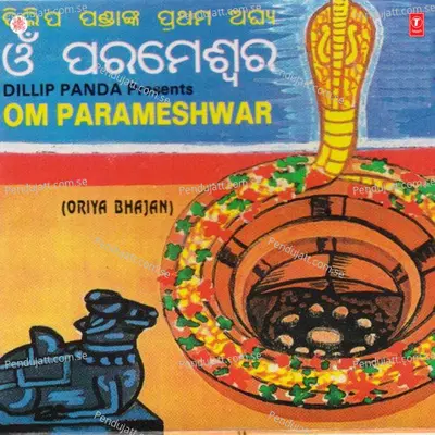 Dam Dam Dambaru Shure - Raghu Sahu album cover 