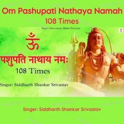 Om Pashupati Nathaya Namah 108 Times - Siddharth Shankar Srivastav album cover 