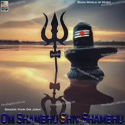 Om Shambhu Shiv Shambhu - Hari Om Joshi album cover 