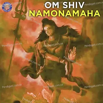 Om Shiv Namonamaha - Various Artists cover album