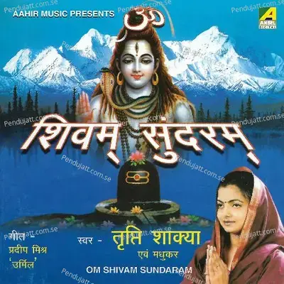 Dwar Khadi Hu Tere - Tripti Shakya album cover 