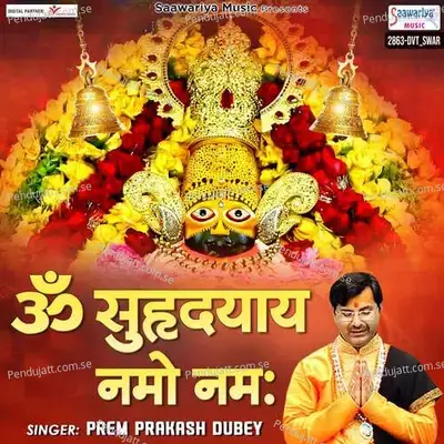 Om Suhridayay Namo Namah - Prem Prakash Dubey album cover 