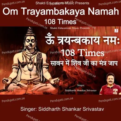 Om Trayambakaya Namah 108 Times - Siddharth Shankar Srivastav album cover 