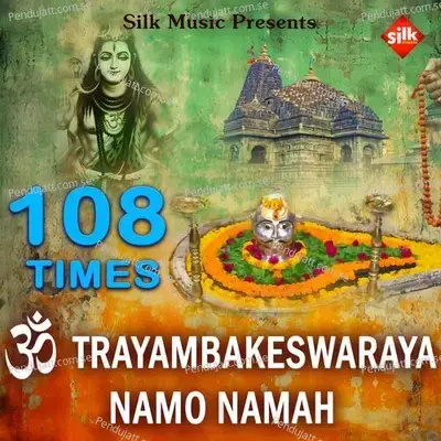 Om Trayambakeshwaraya Namh Namha - Nisiprava Pani album cover 