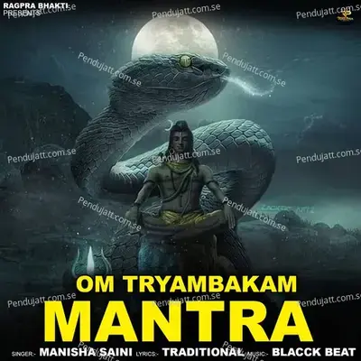 Om Tryambakam Mantra - Manisha Saini album cover 