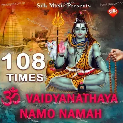 Om Vaidyanathaya Namo Namah - Nisiprava Pani album cover 