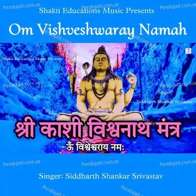 Om Vishveshwaray Namah - Siddharth Shankar Srivastav album cover 