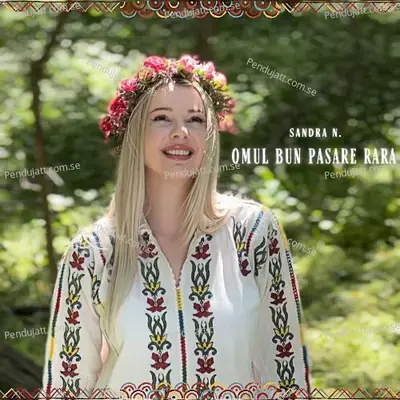 Omul Bun Pasare Rara - Sandra N. album cover 