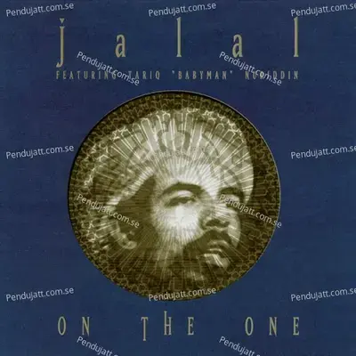 In The Shade Of The Light - Jalal album cover 