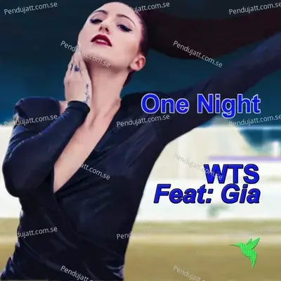 One Night - 4 - WTS album cover 