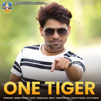 One Tiger - Suresh Zala album cover 