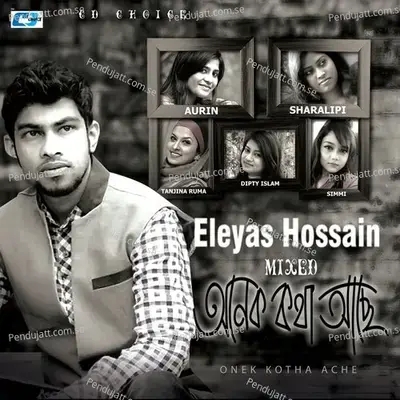 Dhubotara - Eleyas Hossain album cover 