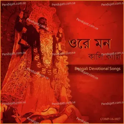 Chikan Kalo - Pannalal Bhattacharjee album cover 