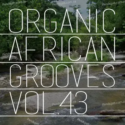 Organic African Grooves  Vol 43 - Various Artists cover album