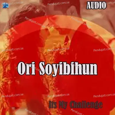 Ori Soyibihun - Dibya album cover 