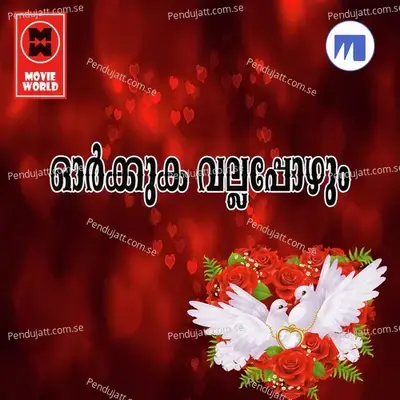 Idanenjil - Salim Koodathoor album cover 