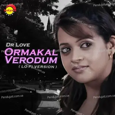 Ormakal Verodum - Chris Wayne album cover 