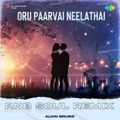 Oru Paarvai Neelathai - Rnb Soul Remix - Alvin Bruno album cover 