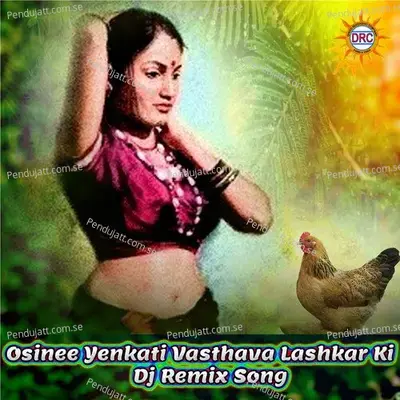 Osinee Yenkati Vasthava Lashkar Ki - P.N. Lingaraju album cover 