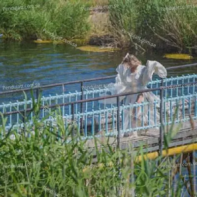 Mufasa  The Lion King  Hindi Original Motion Picture Soundtrack 