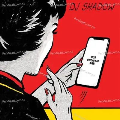 Small Colleges - Dj Shadow album cover 