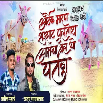 Overtake Marun Susat Paltoy Amcha Bail Yo Patang - Pratik Mhatre album cover 