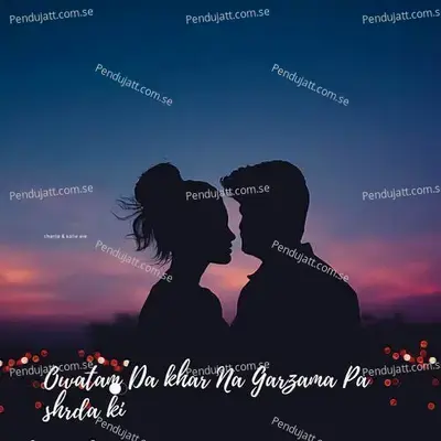Owatam Da Khar Na Garzama Pa Shrda Ki - Waseem album cover 