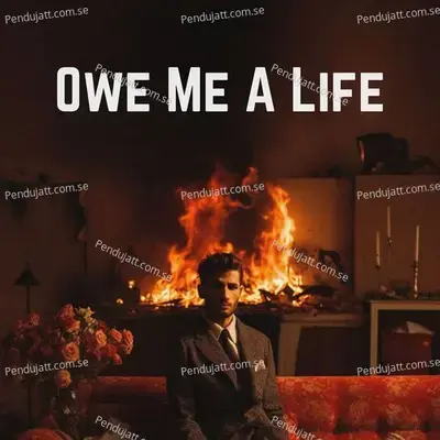 Owe Me A Life - Jani album cover 