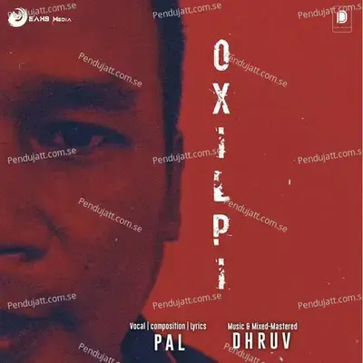 Oxilpi - Pal album cover 