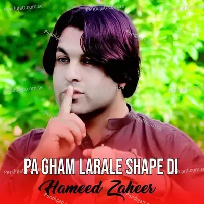 Pa Gham Larale Shape Di - Hameed Zaheer album cover 