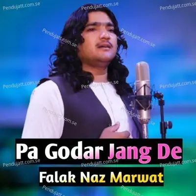 Ya Ba Da Sta Shundo Saroona - Falak Naz Marwat album cover 