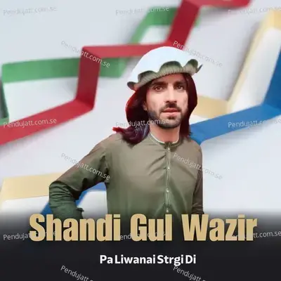 Pa Liwanai Strgi Di - Shandi Gul Wazir album cover 